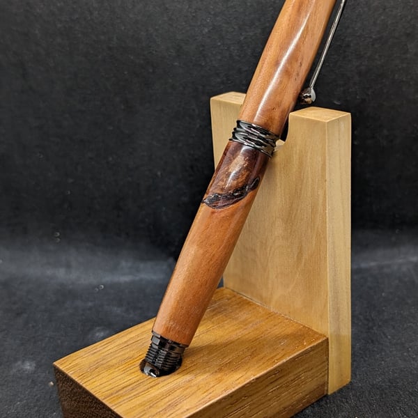 A fountain pen in cherry plum