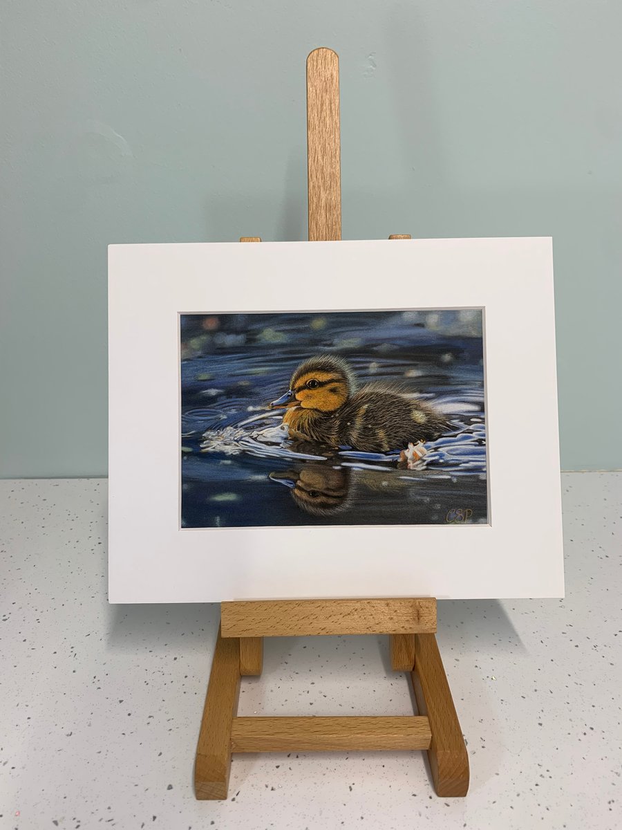 ‘Float in Peace’ 5 x 7 inch giclee art print. Duckling.