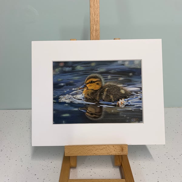 ‘Float in Peace’ 5 x 7 inch giclee art print. Duckling.