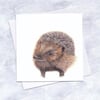 Hedgehog Card, Wildlife Illustration