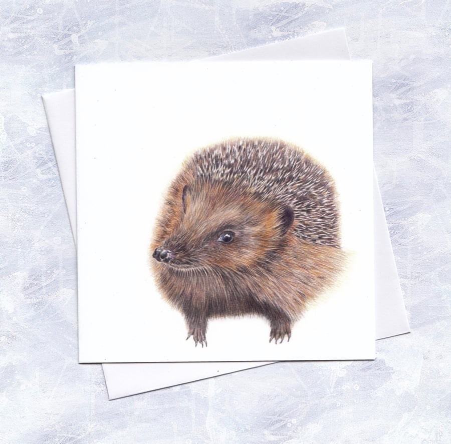 Hedgehog Card, Wildlife Illustration