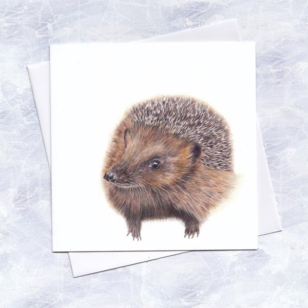 Hedgehog Card, Wildlife Illustration