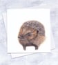 Hedgehog Card, Wildlife Illustration