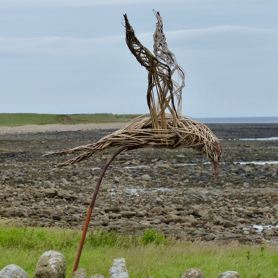 6" Square Photographic Card