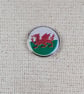 Wales Flag Badge - Large Resin Topped Pin badge - Welsh flag Pin
