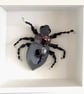 Ceramic Porcelain Bug - Ethel - Image 1