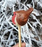 Pot Robin - Image 1