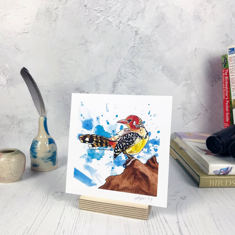 Red and Yellow Barbet Bird Print