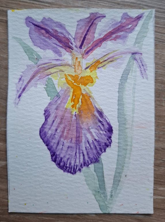 ACEO "Iris". An Original Watercolour. 