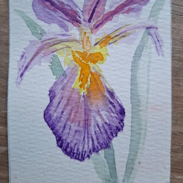 ACEO "Iris". An Original Watercolour. 