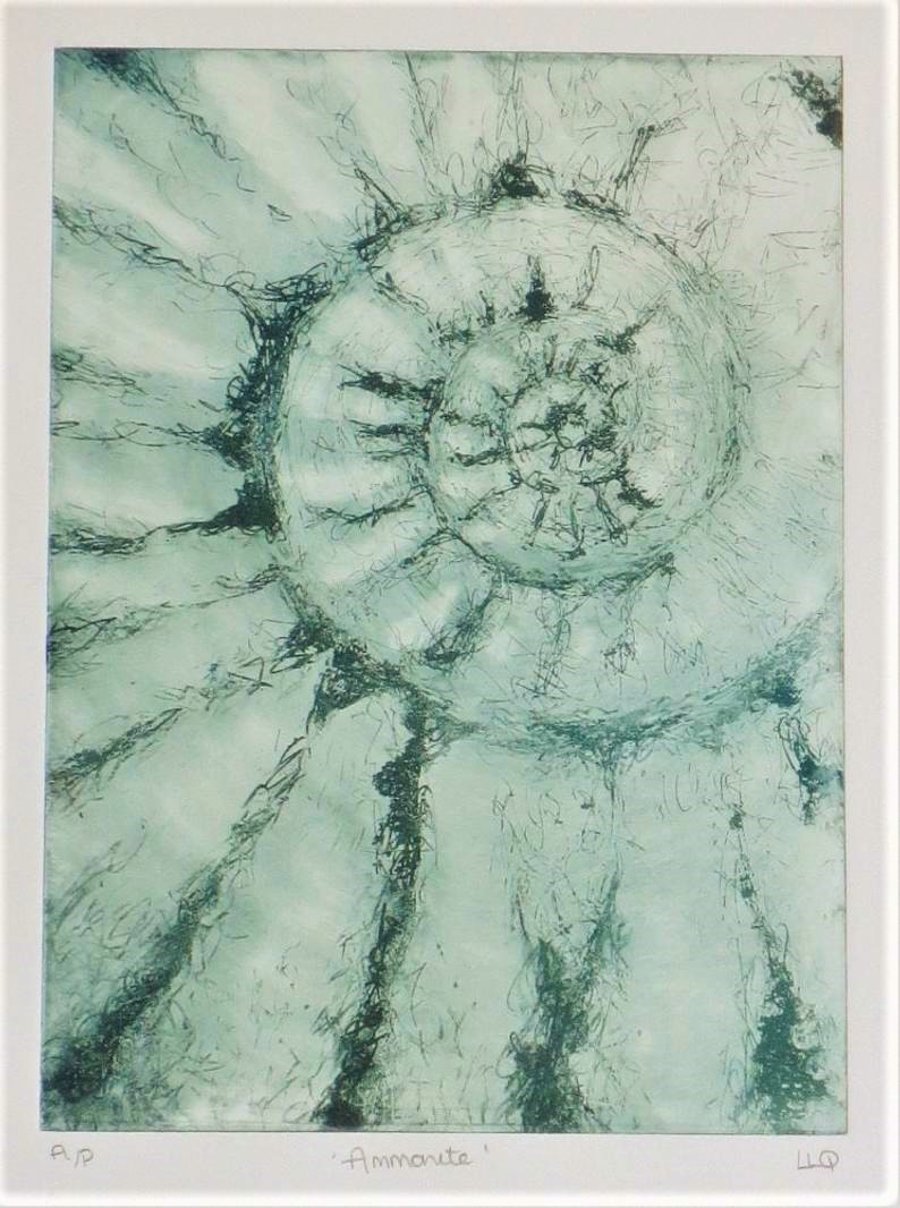 Ammonite fossil solar etching print artist proof print in green
