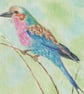 Lilac-Breasted Roller 1 Original Watercolour Painting