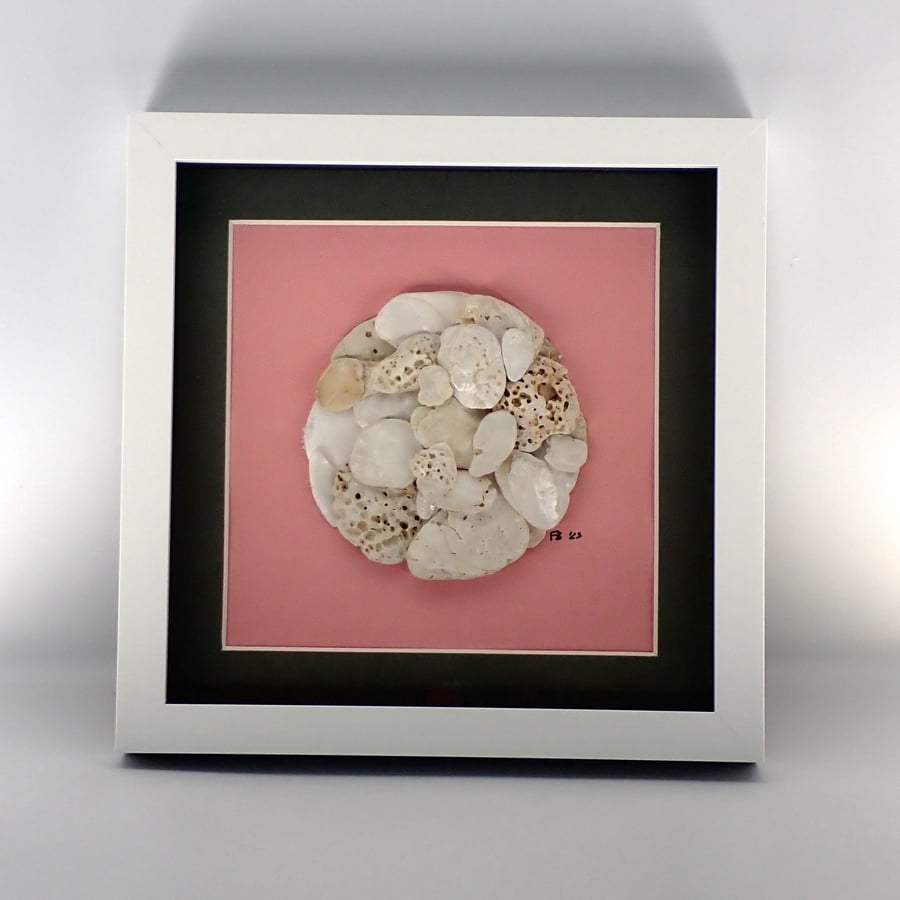 Oyster Shell Circle, Pink 9x9 inch