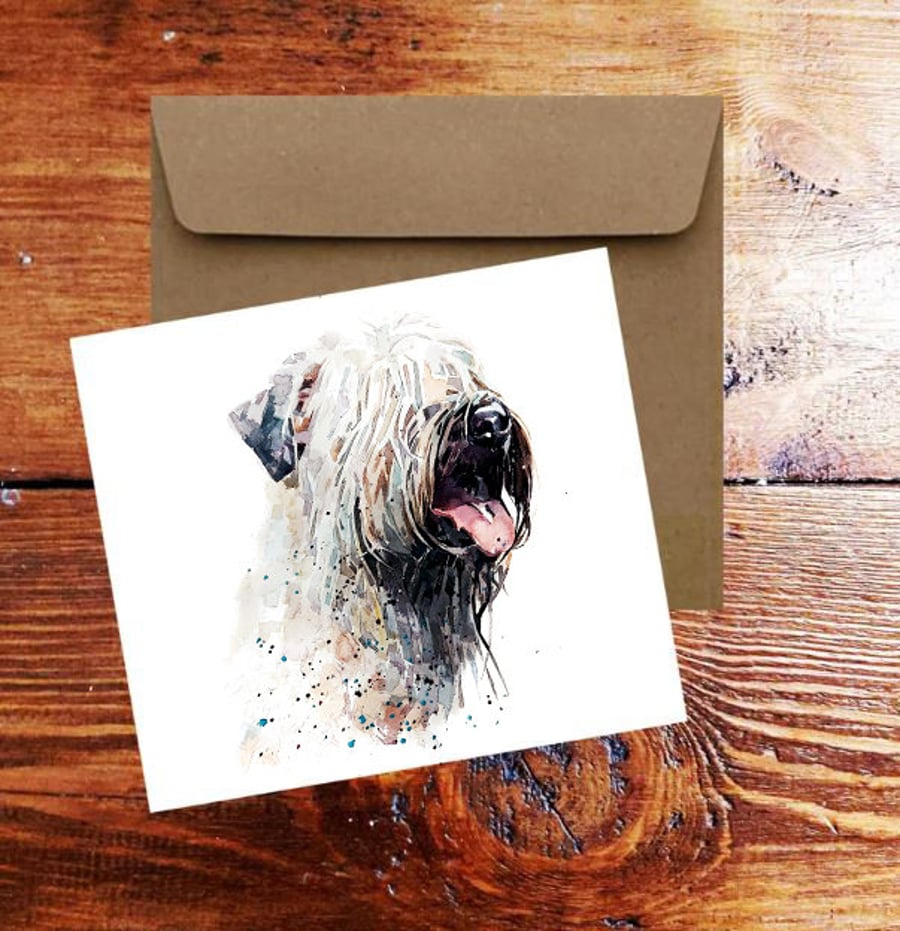 Wheaten Terrier Greeting Card .Wheaten Terrier Watercolour art card,Wheaten Terr