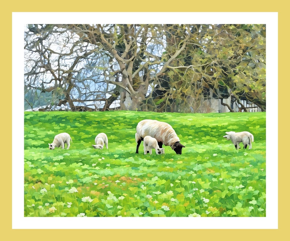Spring Lambs West Acre Gardens Norfolk Greeting Card A5