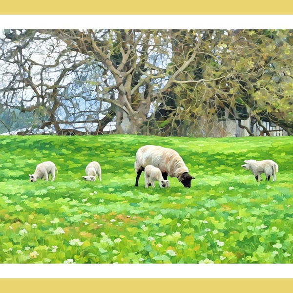 Spring Lambs West Acre Gardens Norfolk Greeting Card A5