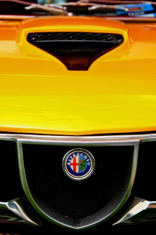 Alfa Romeo Montreal Classic Sports Car Photograph Print