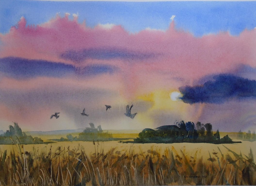 Wood pigeons over wheatfields (PURE ORIGINAL WATERCOLOUR) A4 size
