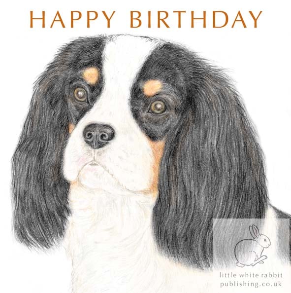 Dolly the Cavalier -  Birthday Card