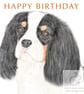 Dolly the Cavalier -  Birthday Card - Image 1