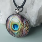 Peacock Feather 25mm Glass Cabochon Stainless Steel Necklace