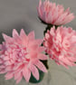 Mini chrysanthemums - Image 3