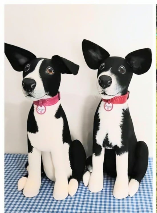 Fully Personalised Border Collie