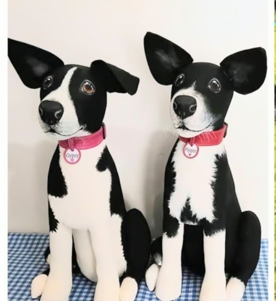 Fully Personalised Border Collie