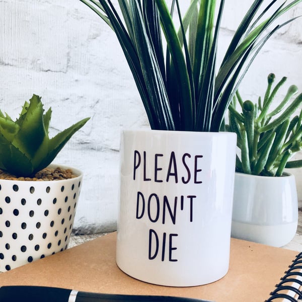 Plant pot, planter, cactus pot, christmas gift, gift for women, funny plant pot,