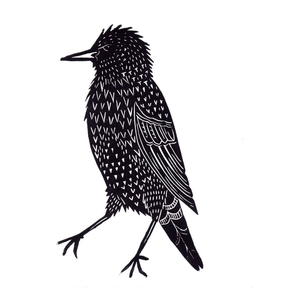 Original lino cut print "Mister Starling" in black