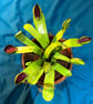 Venus flytrap scrap sculpture  - Image 3