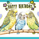 Happy Birthday Budgies Card A5