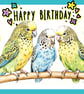 Happy Birthday Budgies Card A5