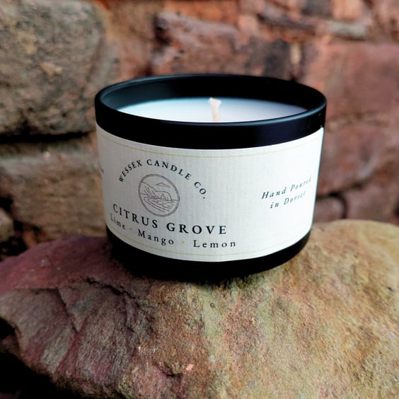 Choose Your Scent - Small Tin Candle - Luxury Coconut Apricot Wax - Vegan