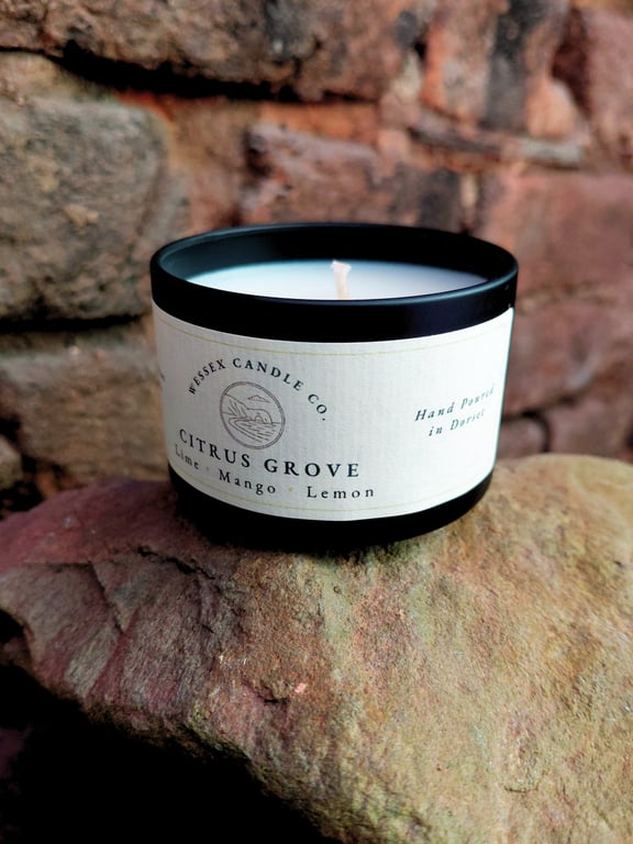 Choose Your Scent - Small Tin Candle - Luxury Coconut Apricot Wax - Vegan