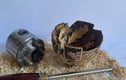 Landscapes | Bespoke | Hand-Turned Wooden Bowls - Vases - Home Decor - Sculptures
