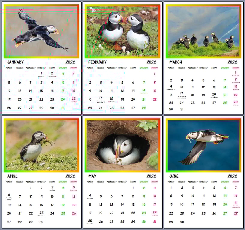 2026 Puffins Hanging Wall Calendar Each month A4 Size 