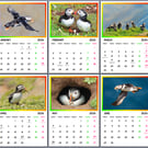 2026 Puffins Hanging Wall Calendar Each month A4 Size 