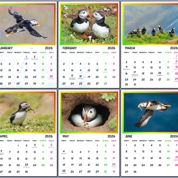 2026 Puffins Hanging Wall Calendar Each month A4 Size 