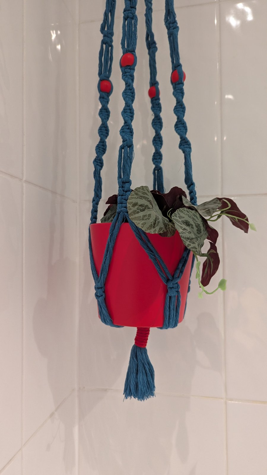 Plant pot hanger - red and teal