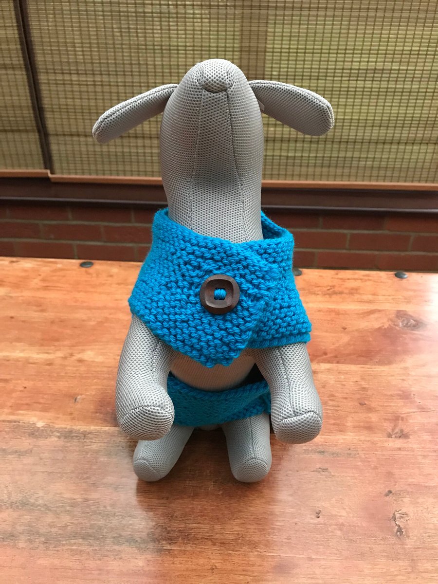Small Dog Jumper with Cowl Neck 