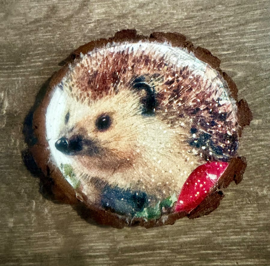 Wooden Disc Christmas Coaster 