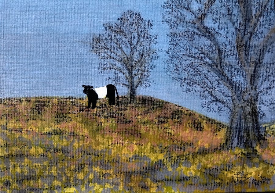 Autumn Beltie - original unframed painting