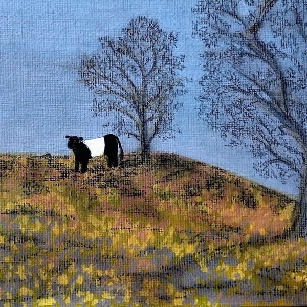 Autumn Beltie