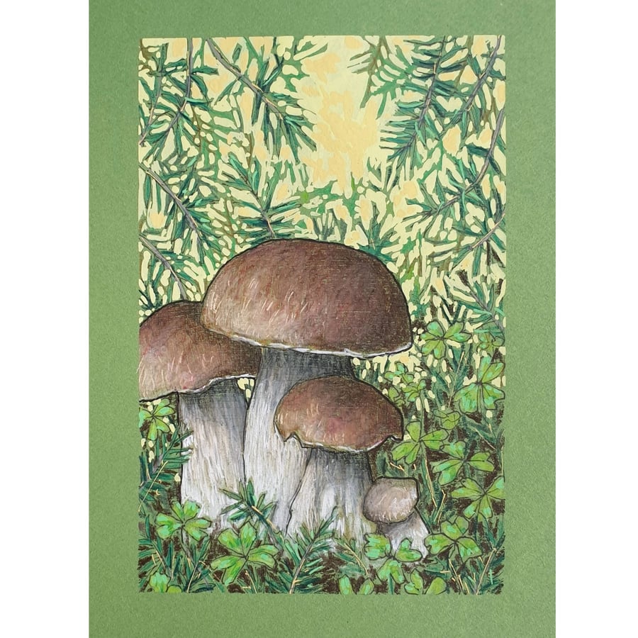 Mushrooms and Clover in the Undergrowth original art, drawing, wall art