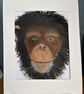 Thoughtful chimpanzee portrait in acrylics.Original painting  - Image 3