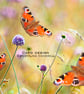 Exclusive Handmade Butterfly Meadow Greetings Card on Archive Photo Paper - Image 2