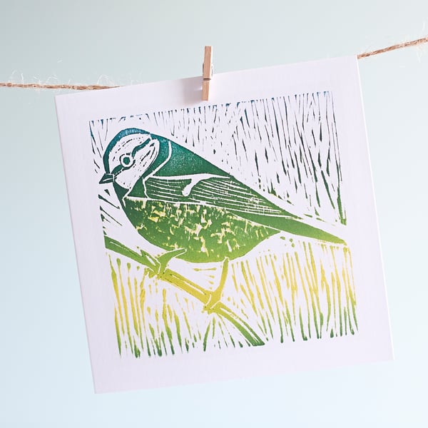 'blue tit' greetings card