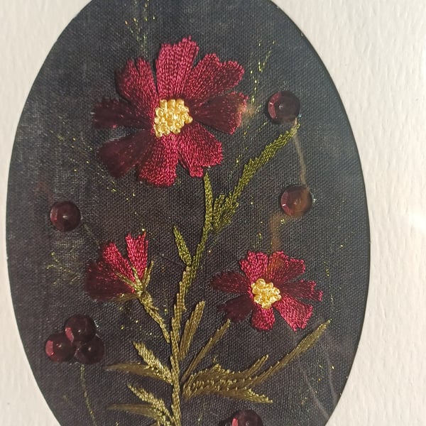 Cosmos ( chocolate) 