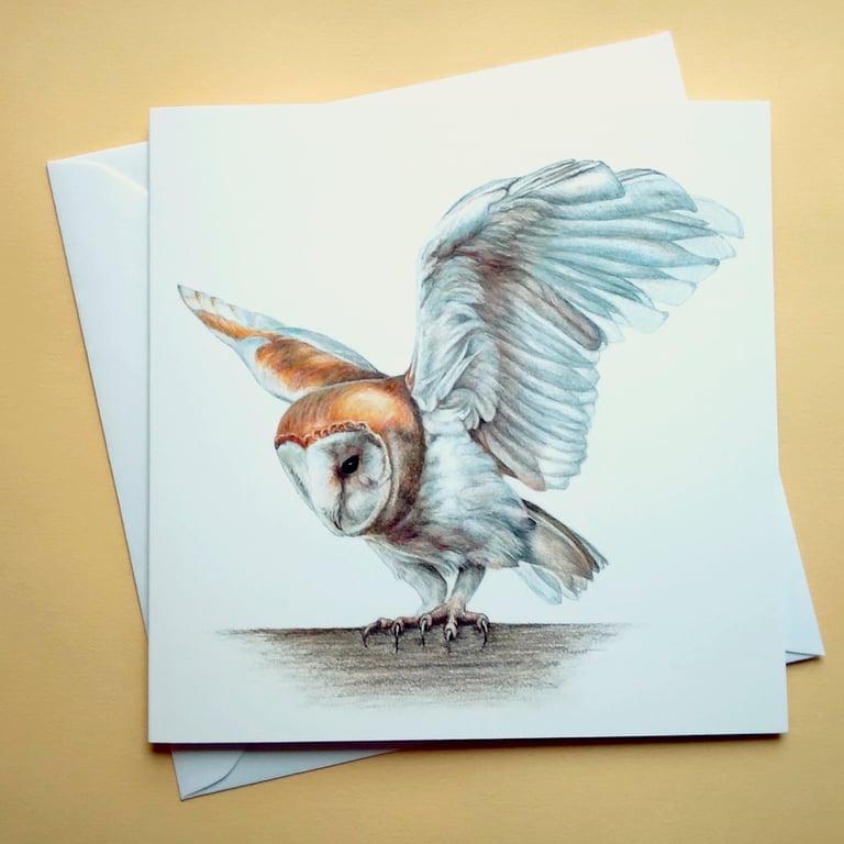 Greetings card - blank - Barn Owl